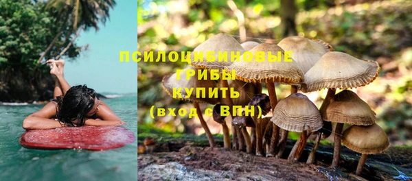 тгк Вяземский