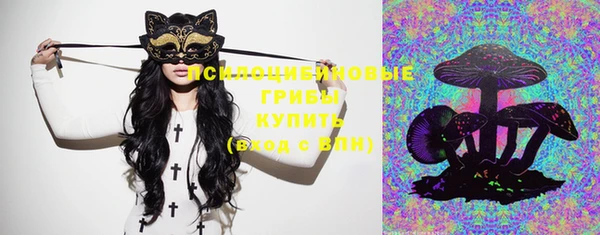 тгк Вяземский