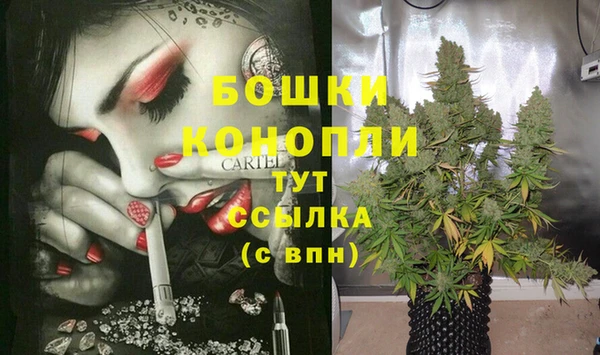 тгк Вяземский